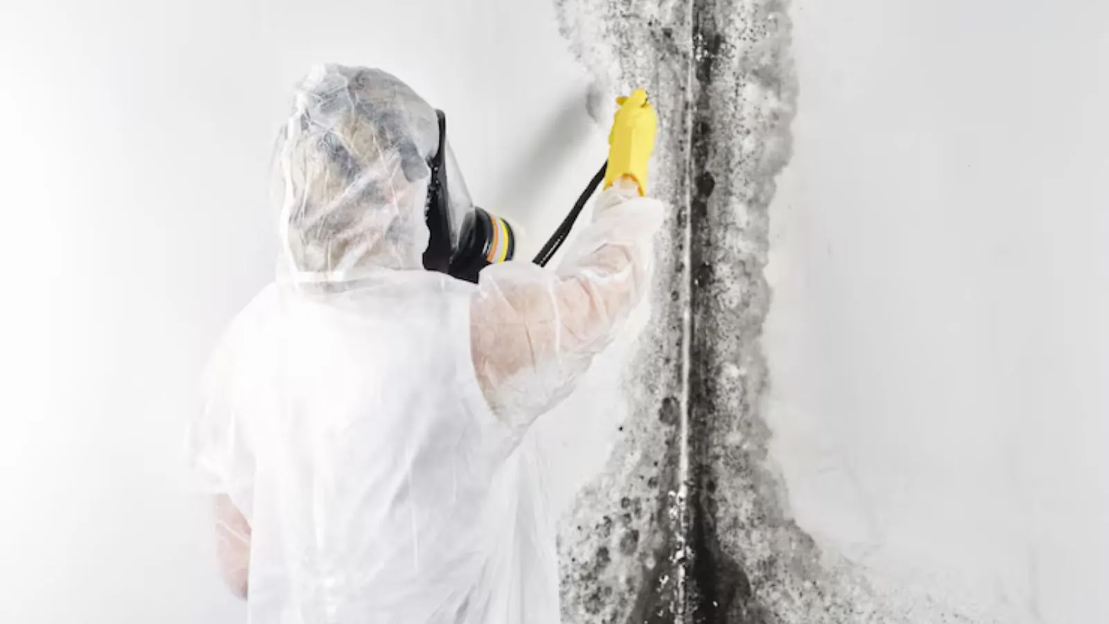 Worker in a hood and respirator cleaning mold from a wall