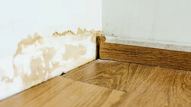 Water-stained wall above a baseboard and wood floor