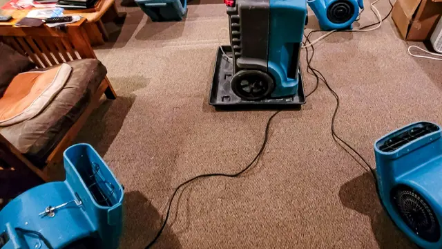 Air movers and a dehumidifier running on carpet in a living room