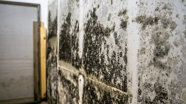 Wall covered in dark mold spots beside a wooden frame